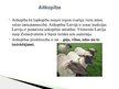 Презентация 'Lauksaimniecības dzīvnieki: govis, aitas', 10.