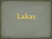 Презентация 'Lakas', 1.