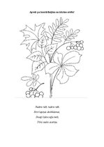 Презентация 'Rudens burtnīca pirmsskolas vecuma bērniem', 4.