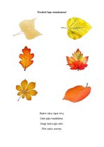 Презентация 'Rudens burtnīca pirmsskolas vecuma bērniem', 7.