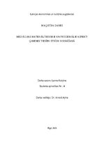 Образец документа 'MEDIĀCIJAS MATERIĀLTIESISKIE UN PROCESUĀLIE ASPEKTI ĢIMENES TIESĪBU STRĪDU RISIN', 1.