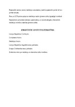 Образец документа 'MEDIĀCIJAS MATERIĀLTIESISKIE UN PROCESUĀLIE ASPEKTI ĢIMENES TIESĪBU STRĪDU RISIN', 6.