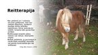 Презентация 'Alternatīvās terapijas - Reitterapija', 9.