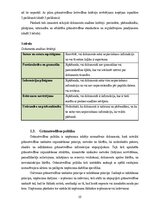 Отчёт по практике 'Grāmatvedības prakses atskaite', 10.