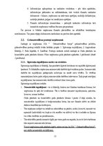 Отчёт по практике 'Grāmatvedības prakses atskaite', 13.