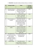 Отчёт по практике 'Grāmatvedības prakses atskaite', 34.