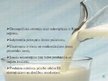 Презентация '"Lāse" produktu tirgus izstrāde Rīgas piena kombinātā', 7.