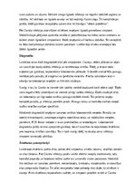 Конспект 'Lamblioze', 6.