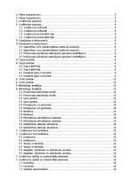 Бизнес план 'SIA “Greater than one” 
Biznesa plāns', 2.