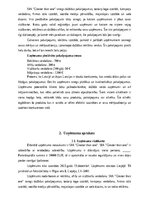 Бизнес план 'SIA “Greater than one” 
Biznesa plāns', 4.