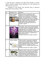 Бизнес план 'SIA “Greater than one” 
Biznesa plāns', 7.