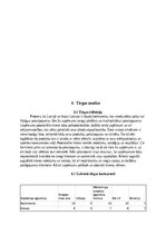 Бизнес план 'SIA “Greater than one” 
Biznesa plāns', 9.