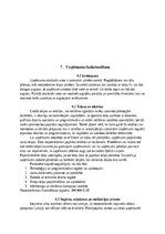 Бизнес план 'SIA “Greater than one” 
Biznesa plāns', 15.