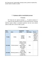 Бизнес план 'SIA “Greater than one” 
Biznesa plāns', 16.