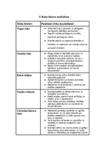 Бизнес план 'SIA “Greater than one” 
Biznesa plāns', 19.