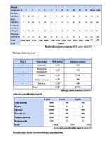 Бизнес план 'SIA “Greater than one” 
Biznesa plāns', 21.