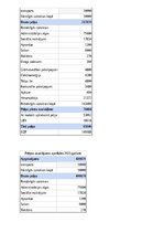 Бизнес план 'SIA “Greater than one” 
Biznesa plāns', 27.