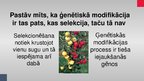 Презентация 'Ģenētiski modificēti organismi', 15.