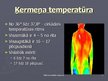 Презентация 'Termometri un temperatūra', 17.
