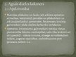 Презентация 'Latvijas aizvēsture', 27.