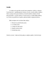 Реферат 'SIA “Metāla izstrādājumu ražojumi” Praktiskais mājas darbs Uzņēmuma finanšu anal', 3.