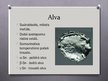 Презентация 'Alva un tās savienojumi', 2.
