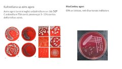 Презентация 'Escherichia coli mikrobioloģiskās diagnostikas principi', 10.