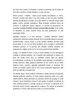 Эссе 'Juristu ētika Latvijā un starptautiskā kontekstā: vērtības, normas un nākotnes i', 16.