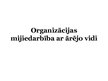 Презентация 'Organizācijas vide', 1.