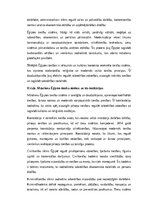 Эссе 'Ēģiptes tiesības', 2.