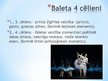Презентация 'Pēteris Čaikovskis "Gulbju ezers"', 5.