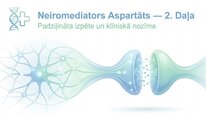 Презентация 'Aspartāts', 14.