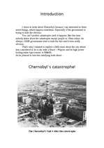 Реферат 'Chernobyl', 2.