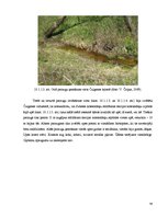 Реферат 'Dabas apsaimniekošanas plāns "Subates ezeru sistēma"', 54.