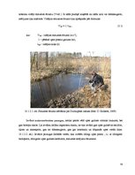 Реферат 'Dabas apsaimniekošanas plāns "Subates ezeru sistēma"', 59.