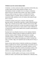 Эссе 'Cilvēktiesību aizsardzība mūsdienu tiesiskajā sistēmā', 1.