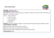 Конспект 'SEM nodarbības plāns', 2.