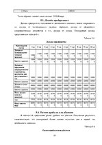 Бизнес план 'Бизнес план нового предприятия SIA "Cargo.lv"', 23.