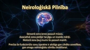 Презентация 'Smadzeņu arhitektūra - sensorās, asociatīvās un motorās zonas', 13.