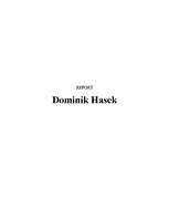 Конспект 'Dominik Hasek', 1.