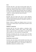 Эссе 'Individuālais sports un pašdisciplīnas attīstība skolēniem', 1.