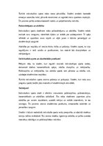 Эссе 'Individuālais sports un pašdisciplīnas attīstība skolēniem', 2.