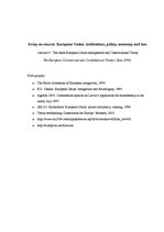 Эссе 'The Latest European Union Enlargement and Constitutional Treaty', 1.