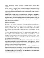 Конспект 'Lietu tiesību jēdziens, principi un iedalījums', 4.