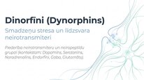 Презентация 'Dinorfīni', 1.