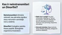 Презентация 'Dinorfīni', 2.