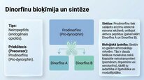 Презентация 'Dinorfīni', 4.