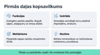 Презентация 'Dinorfīni', 12.