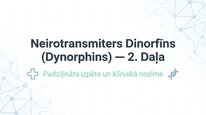 Презентация 'Dinorfīni', 13.