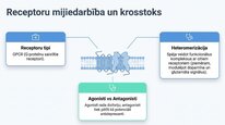 Презентация 'Dinorfīni', 17.
